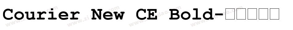 Courier New CE Bold字体转换